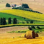 Paradiso