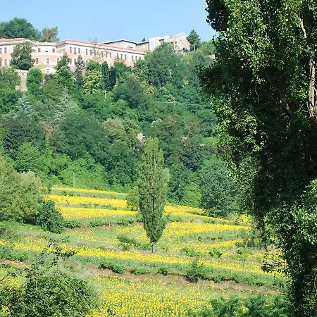 Paradiso Bed & Breakfast