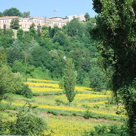 Paradiso