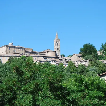 Paradiso Urbino