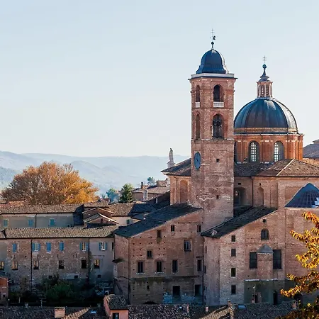 Paradiso Urbino