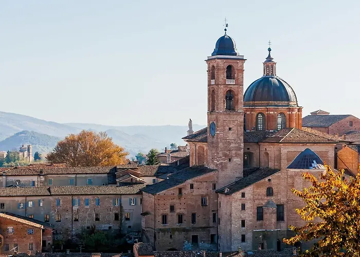 Paradiso Urbino